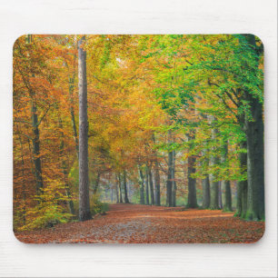 Trees with autumn foliage in a forest mouse pad