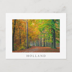 Trees with autumn foliage in a forest postcard