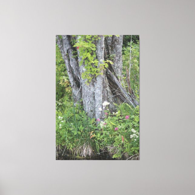 Trees With Grey and Green Canvas Print (Front)