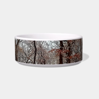 Trees, with orange leaves and snow bowl