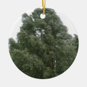 Treetops Ornament