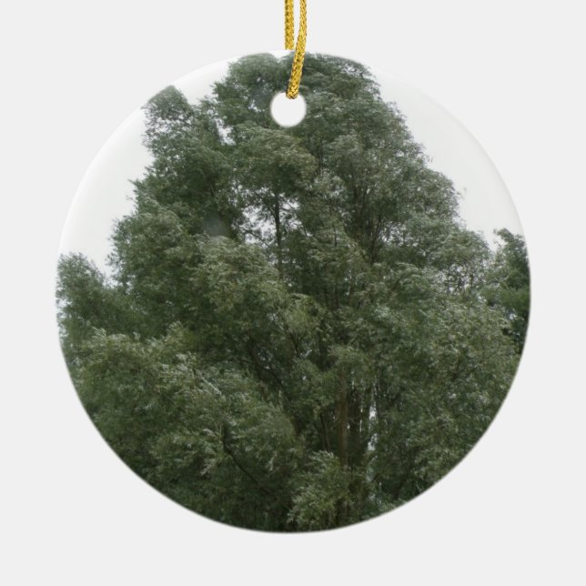 Treetops Ornament (Front)