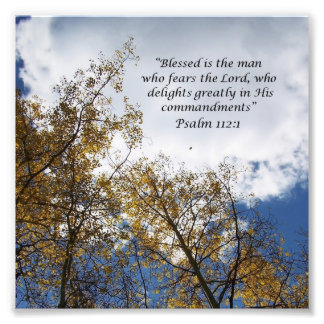 Treetops Psalms 11:23 Scripture Photo Print