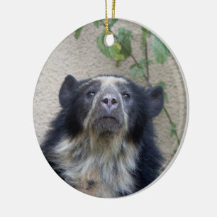 Tremarctos ornatus - Brillenbär Ceramic Tree Decoration
