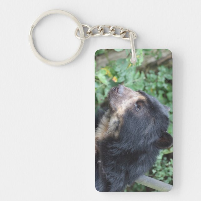 Tremarctos ornatus key ring (Front)