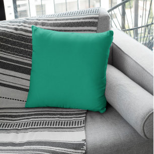 Trend Color - Jade Green Cushion