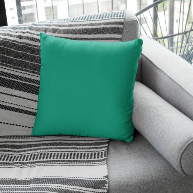 Trend Colour - Jade Green Cushion (Creator Uploaded)