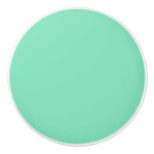 Trend Colour - Minty Green Ceramic Knob