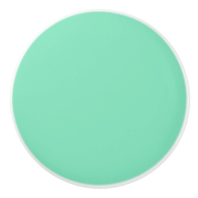 Trend Colour - Minty Green Ceramic Knob (Front)