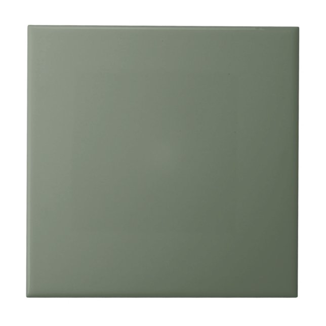 Trend Colour Muted Greenish-Grey Ceramic Tile (Front)
