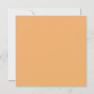 Trend Colour - Soft Orange Flat Holiday Card