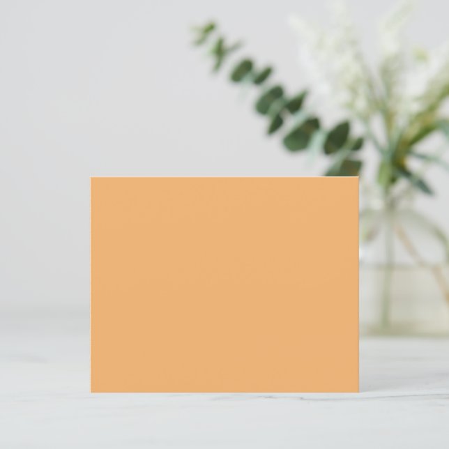 Trend Colour - Soft Orange Paper Sheet (Standing Front)