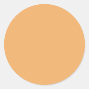 Trend Colour - Soft Orange Sticker