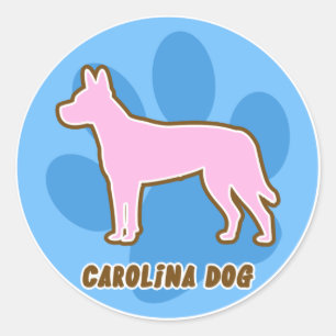 Trendy Carolina Dog Stickers