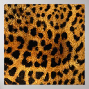 trendy chic animal pattern brown leopard print