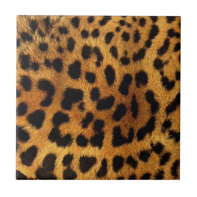 trendy chic animal pattern brown leopard print tile (Front)