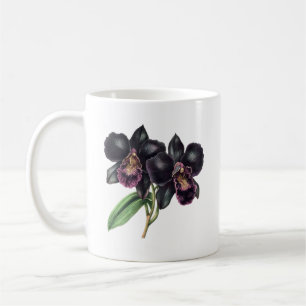 Trendy classic and black orchid coffee mug
