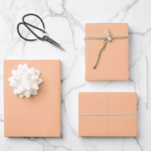 Trendy Colour Peach Fuzz Solid Colour   Elegant Wrapping Paper Sheet