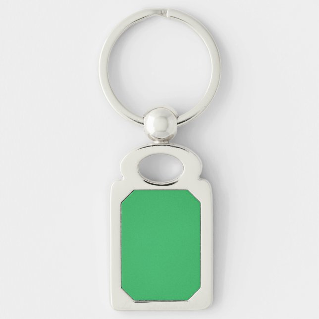 Trendy Green Grainy Background Key Ring (Front)