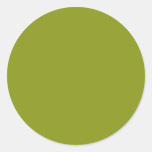 Trendy Green (solid colour) Classic Round Sticker