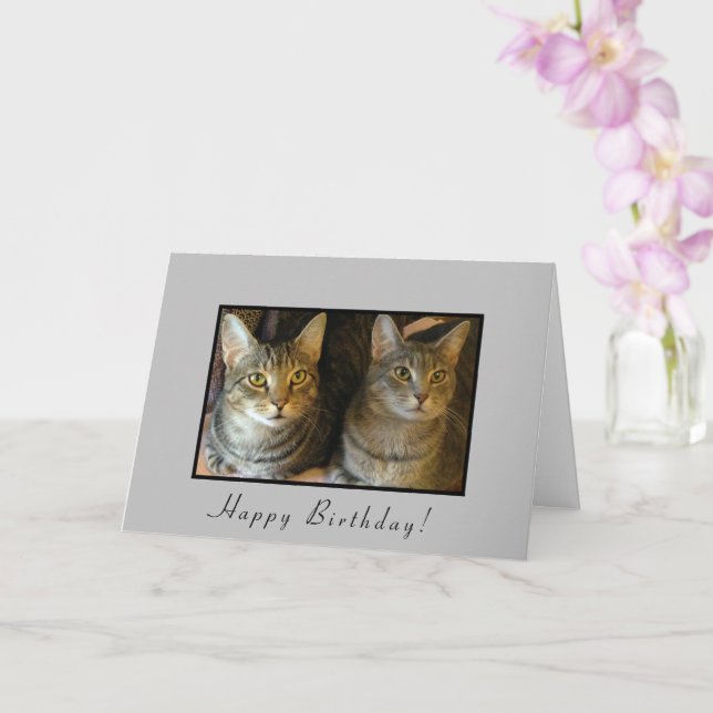 Trendy Happy Birthday Cats  Card (Orchid)
