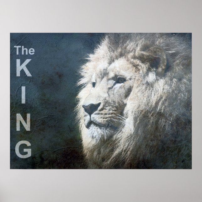 Trendy Lion Template Nature Animal The King Photo Poster (Front)