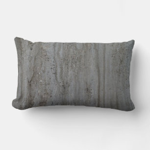 Trendy Modern Creation Grey Wall Abstract Lumbar Cushion