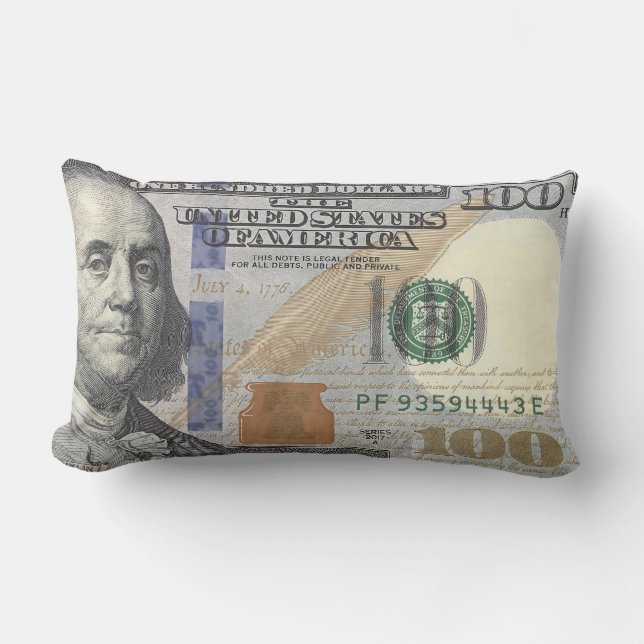 Trendy Money 100 Dollar Bill Aesthetic Currency Lumbar Cushion (Front)