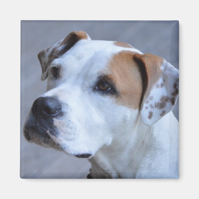 Trendy Personalised Pet Photo Magnet (Front)
