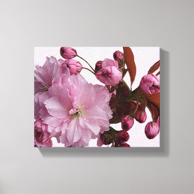 Trendy pink blush cherry blossom flowers modern  canvas print (Front)