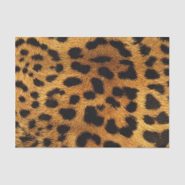 trendy stylish safari animal print leopard pattern tissue paper (Front)