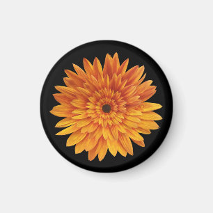 trendy sunflower floral magnet