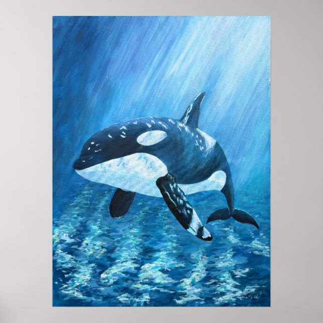 Trent Orca Killer Whale Print ALL SIZES (Front)