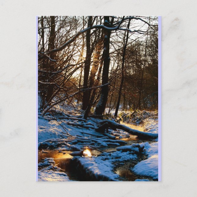 Treppenbach Postcard (Front)