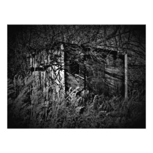 "Trespass Fever" Photo Print