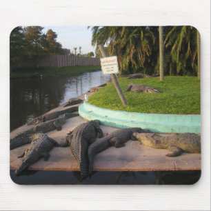 Trespassers Will Be Eaten! Mouse Pad