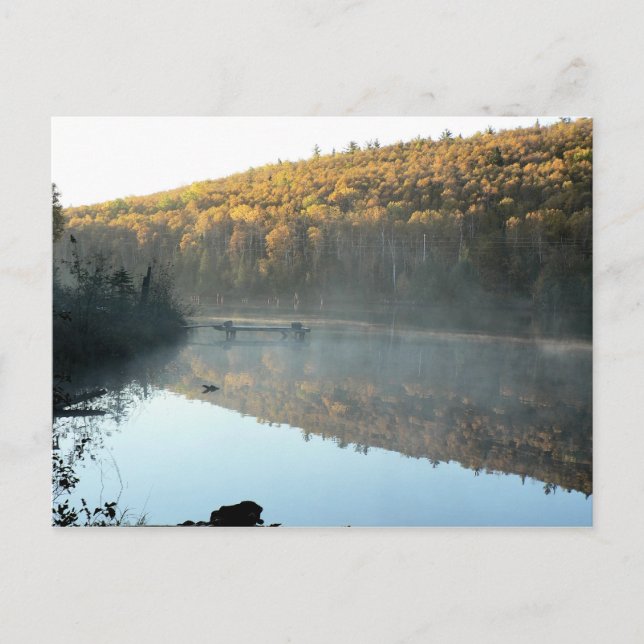 Trestle Pine Morning Postcard (Front)