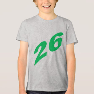 Tri-blend T-Shirt grey  26 Shirt