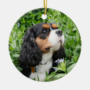 Tri Color Cavalier King Charles Spaniel Ceramic Tree Decoration