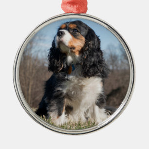 Tri Color Cavalier King Charles Spaniel Metal Tree Decoration