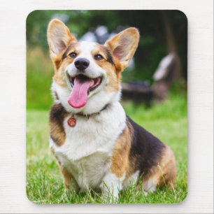 Tri color Pembroke Welsh Corgi Puppy Dog Mouse Pad