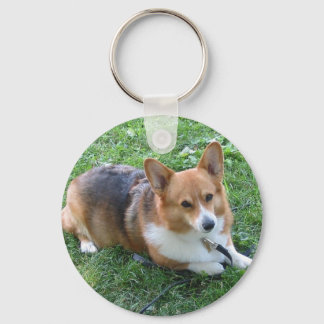 TRI-COLORED PEM IN GRASS KEY RING