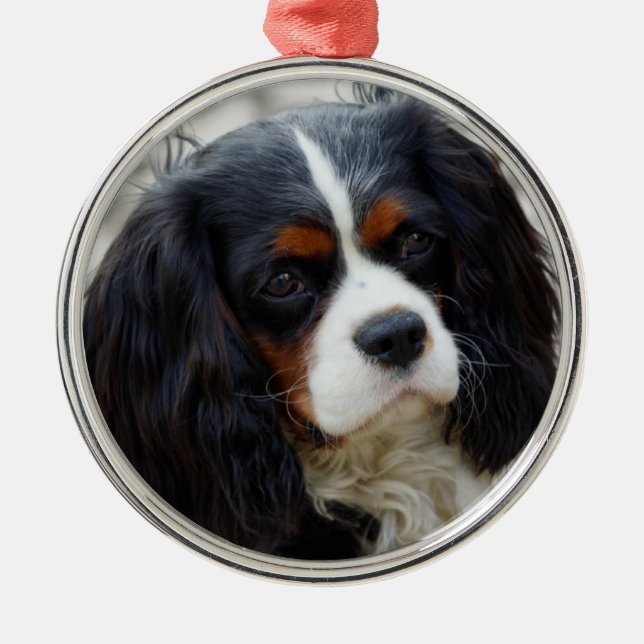 Tri Colour Cavalier King Charles Spaniel Ceramic O Metal Tree Decoration (Front)