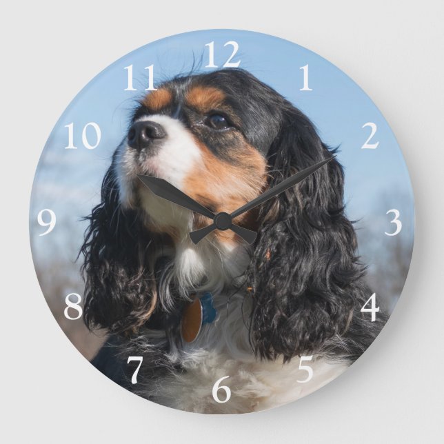 Tri Colour Cavalier King Charles Spaniel Dog Large Clock (Front)