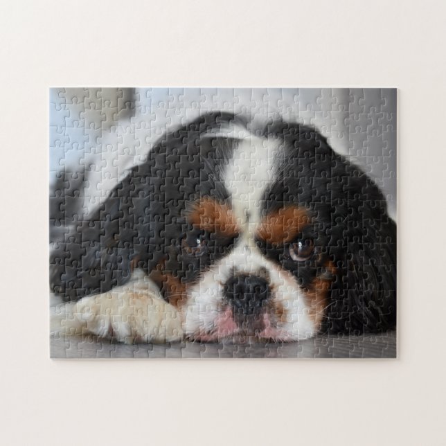 Tri Colour Cavalier King Charles Spaniel Puppy Dog Jigsaw Puzzle (Horizontal)