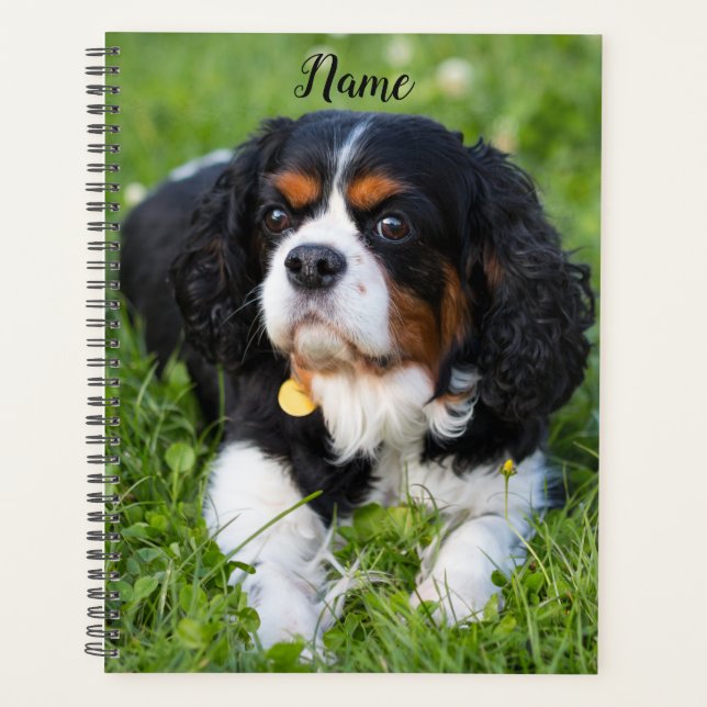 Tri Colour Cavalier King Charles Spaniel Puppy Dog Planner (Front)