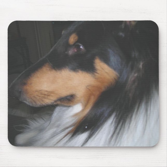 Tri-colour Collie in deep thought Mouse Pad (Front)