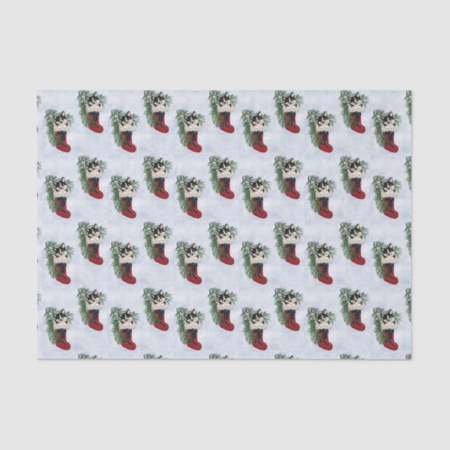 Tri-colour Corgi in Stocking Tissue Paper (Front)
