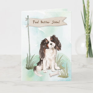 Tri Colour King Charles Spaniel Feel Better to Dog Card