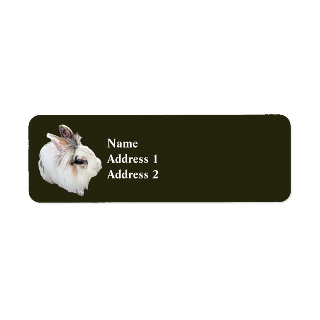 Tri-Colour Lionhead Rabbit (Front)